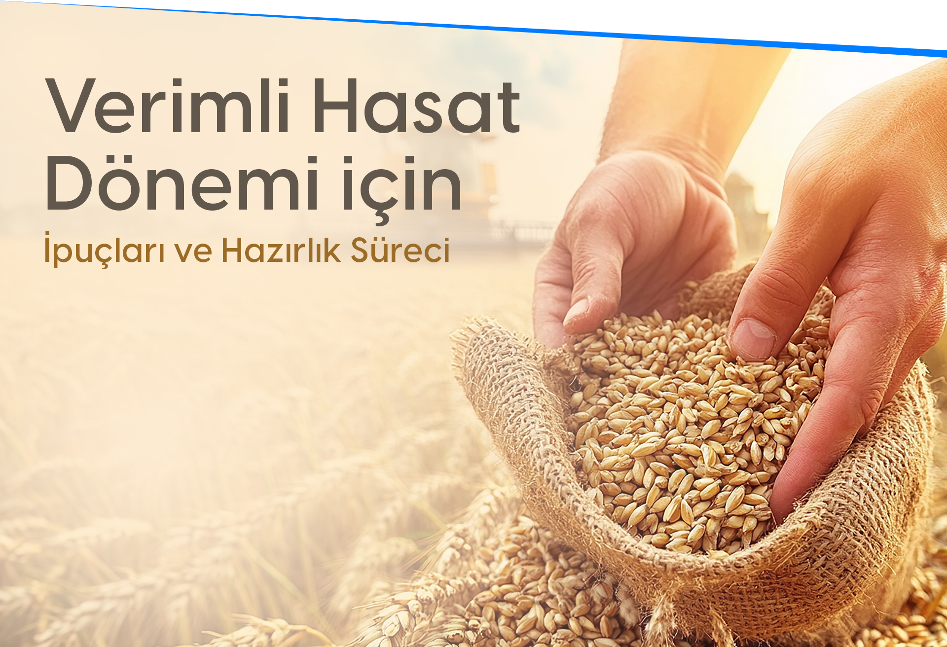 Verimli Hasat Dönemi İçin İpuçları ve Hazırlık Süreci